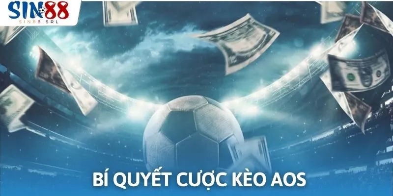 Hội viên cần nắm rõ bí quyết khi tham gia cá cược AOS