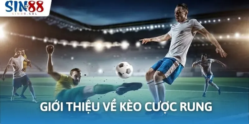 Giới thiệu về kèo cược rung tại SIN88