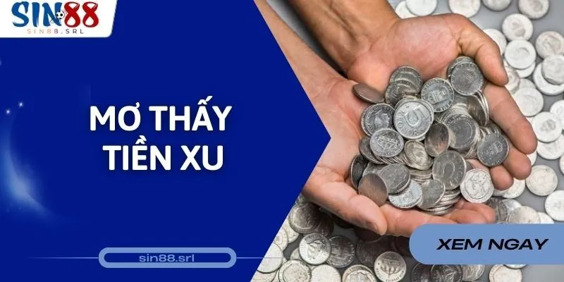Giải Mã Điềm Báo Khi Mơ Thấy Tiền Xu Và Bộ Số May Mắn