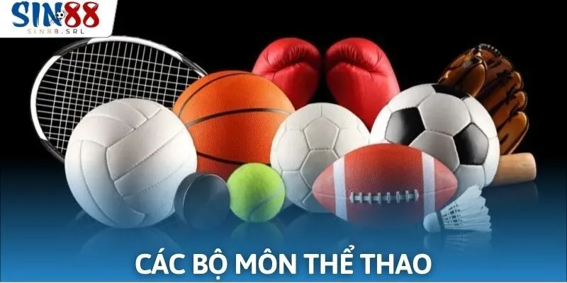 Khám phá những bộ môn giải trí hot nhất tại sảnh cược